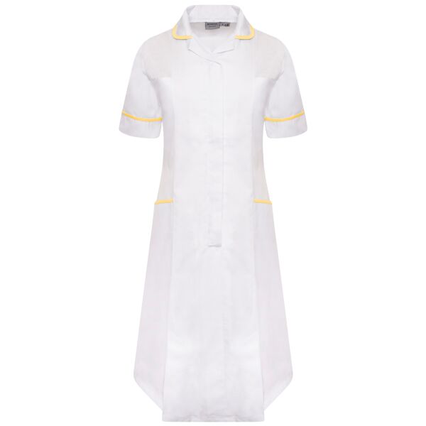 Ladies Dress Thumbnail